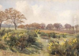Landscape by David Gould