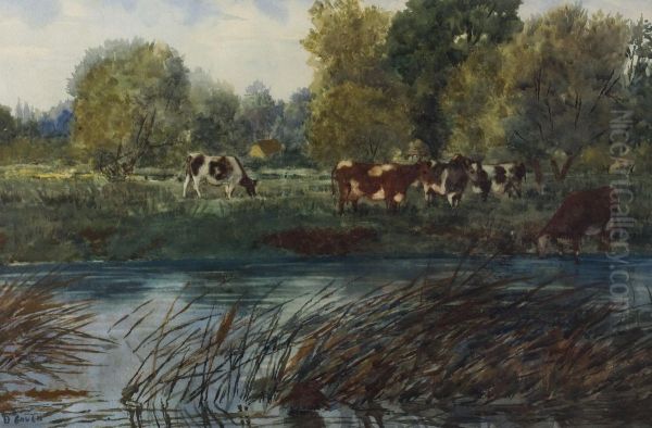 Cattle By The Lagan - view 1