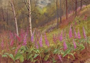 Foxgloves Among Silver Birch Trees by David Gould