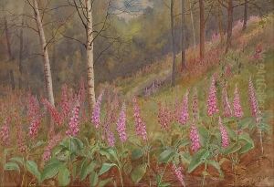 Fox Gloves Among Silver Birches by David Gould