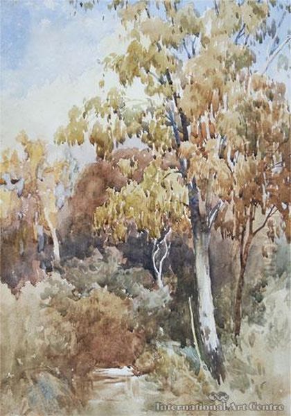 Tree Study - view 1
