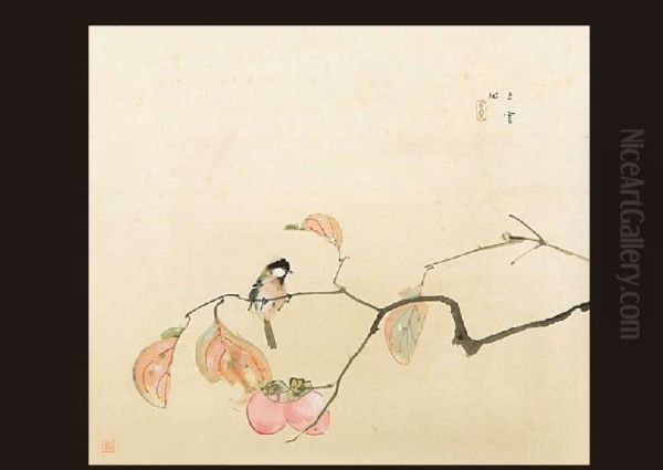 Birds(reproduction) - view 1