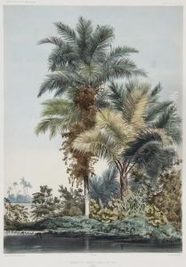 Bouquet De Palmiers Dans L'ile Tsis by Ernest Goupil