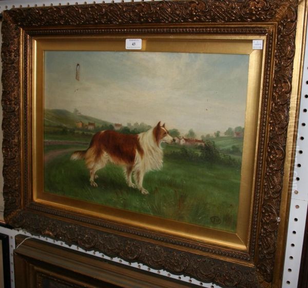 Jip - view 1