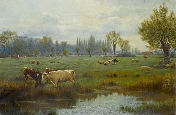 Cattle Watering - view 1