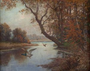 Herbstliche Flusslandschaft Mit Wildenten by Paul Grabwinkler