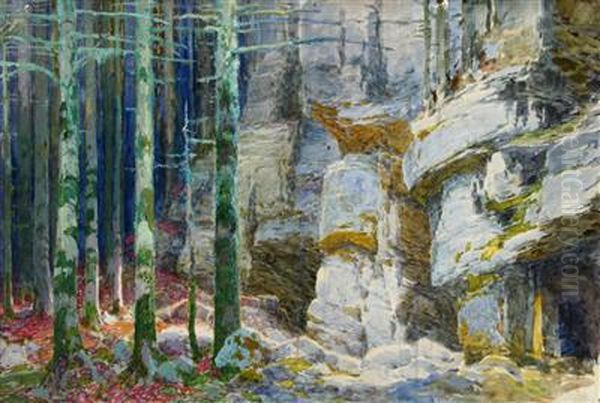A Forest Interior With Rockformations - view 1