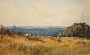 The Surrey Hills by James Edward Grace
