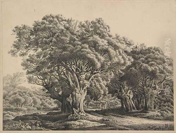 A Wooded Landscape - view 1