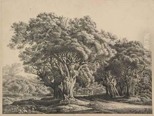 A Wooded Landscape by Paul Graeb