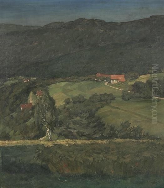 Schwarzwaldlandschaft - view 1