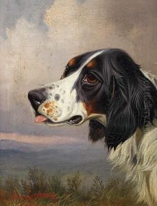 A Head Of A Setter In A Landscape