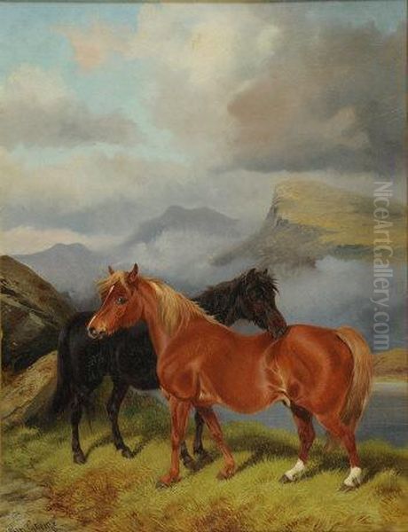 Two Ponies - view 1