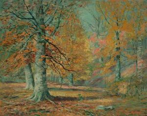 Autumn Woodland Autumn Woodland