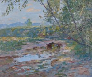 Summer Landscape With Creek