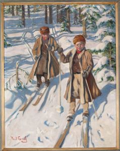 Skidakande Pojkar