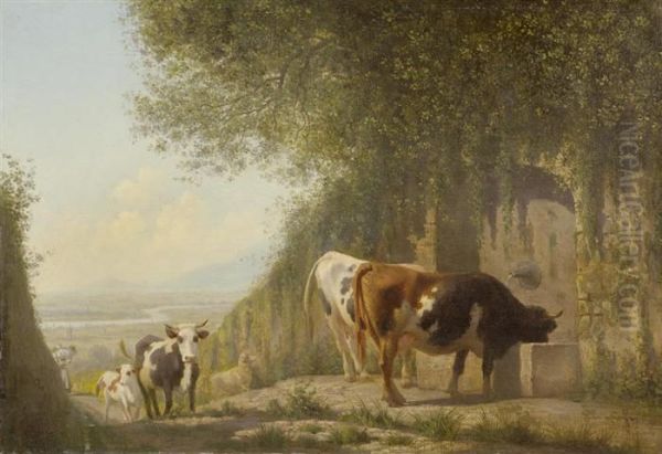 Cows Watering - view 1