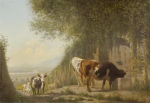 Cows Watering