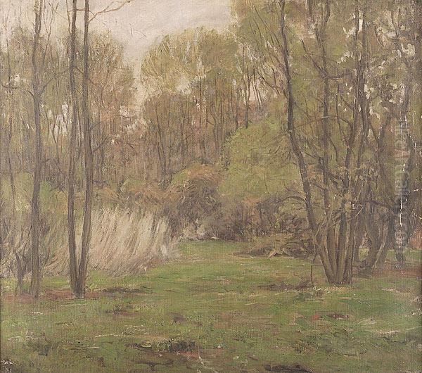 An Indiana Forest Landscape - view 1