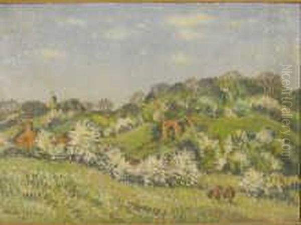 Rural Scene - view 1