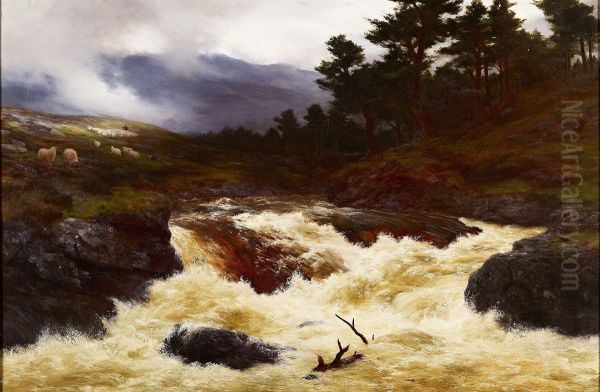 A Spate In The Highlands - view 1