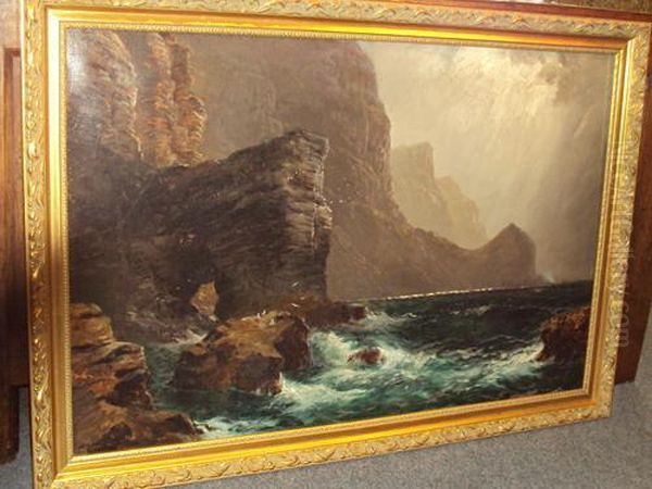 A Coastline With Gulls And Cliffs - view 1