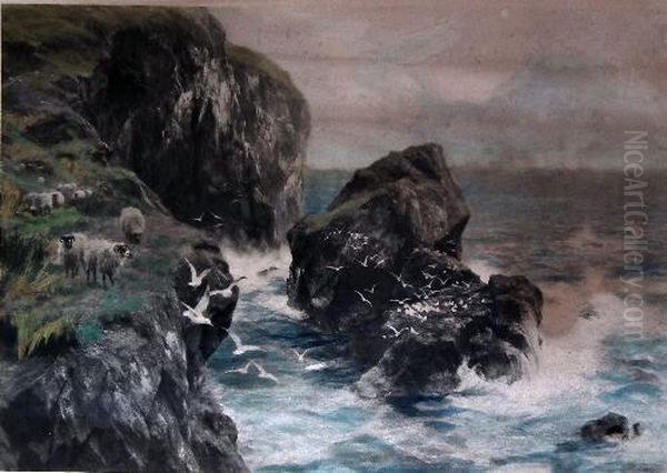 Seascape With Sheep And Seagulls To Rocks - view 1