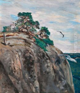Pine On A Rock by Sigrid Granfelt