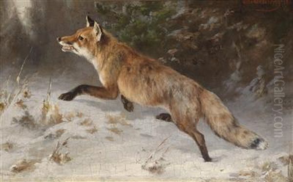 Fox In Winter Forest - view 1