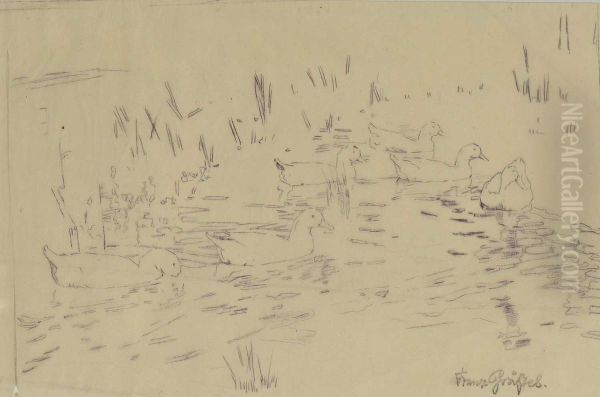 Sechs Enten Im Wasser - view 1