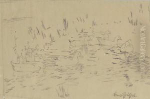 Sechs Enten Im Wasser