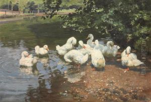 Am Ententeiche: Ducks In A Pont by Franz Grassel