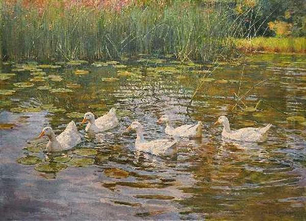 Funf Enten Im Seerosenteich - view 1