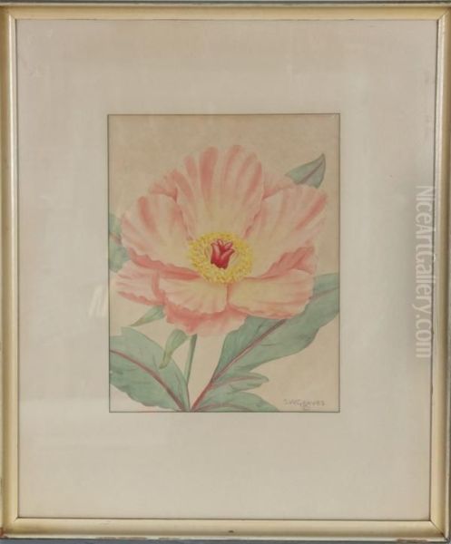 Flower - view 1
