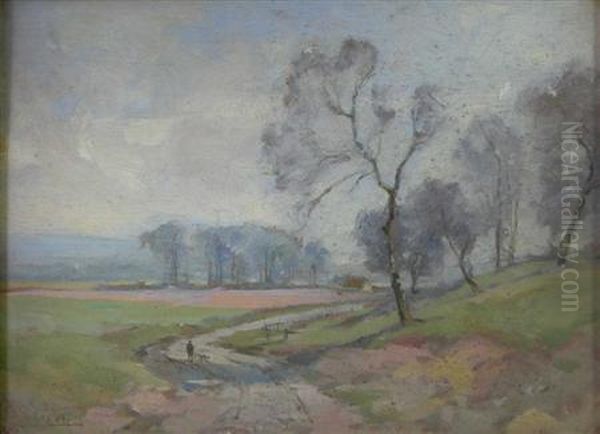 A Country Road - view 1