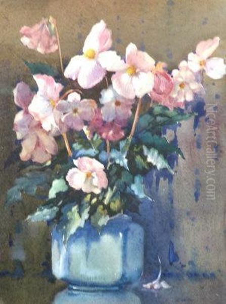 Begonias - view 1