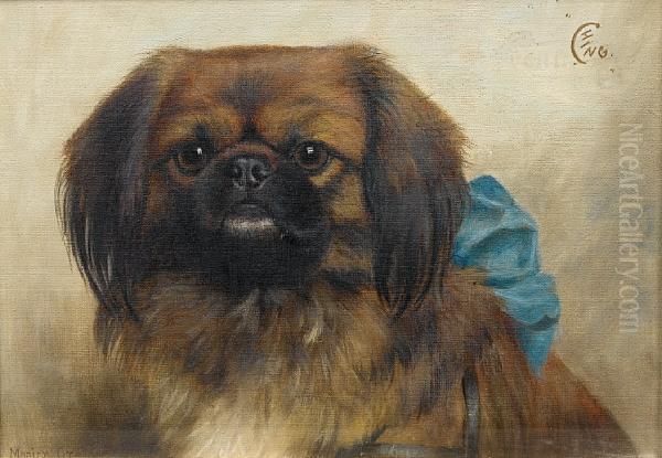 Ching - A Pekingese - view 1