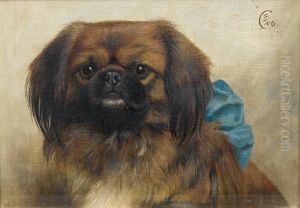 Ching - A Pekingese