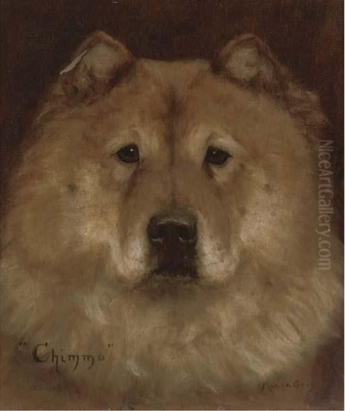 Chimmo The Chow Chow - view 1