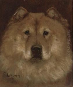 Chimmo The Chow Chow