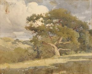 California Landscape With An Ancient Oak by Percy Gray