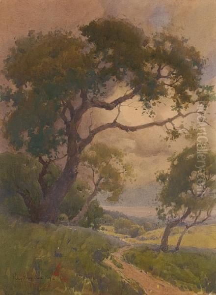 Oaks In June - view 1