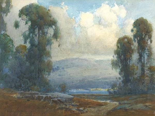 Marin County Eucalyptus - view 1