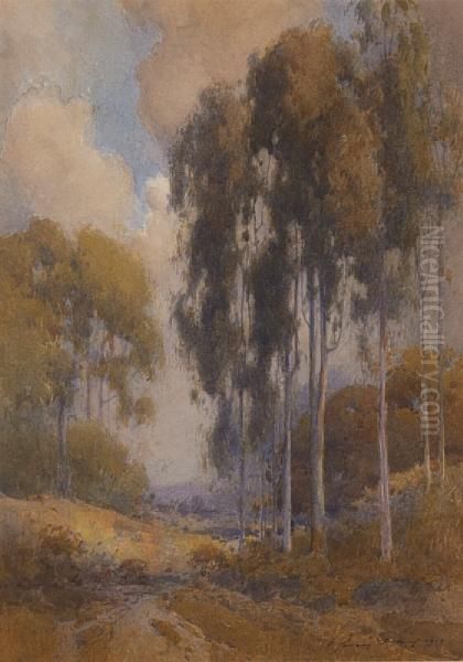 Path Through Eucalyptus - view 1