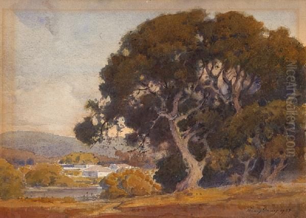 Oak Grove Near Water And Houses - view 1