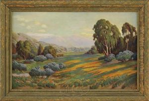 California Poppies And Wild Lilac Near Lompoc, California