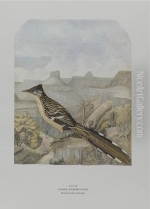 Birds Of The Pacific Slope. by A. Grayson