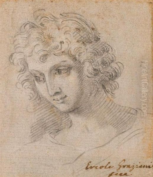 Head Study Of A Young Man With Curly Hair. - view 1