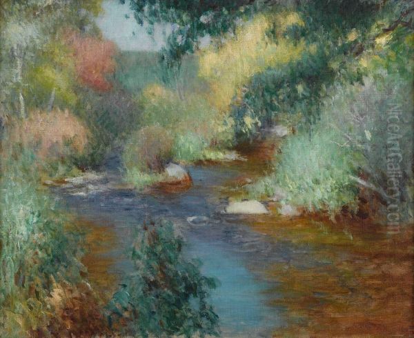 Mountain Stream - view 1