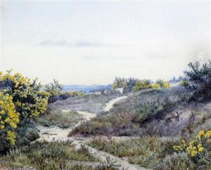 Gorse On Sand Dunes by Eliza Pratt Greatorex